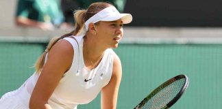 Amanda Anisimova