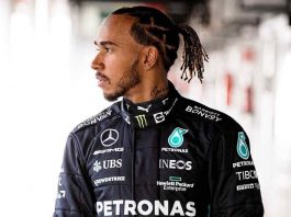 Hamilton fantasma