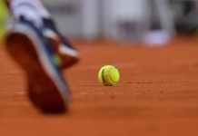 Pallina da tennis