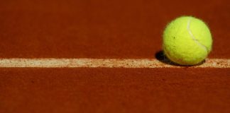 Pallina da tennis