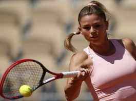 Camila Giorgi, selfie con scollatura top